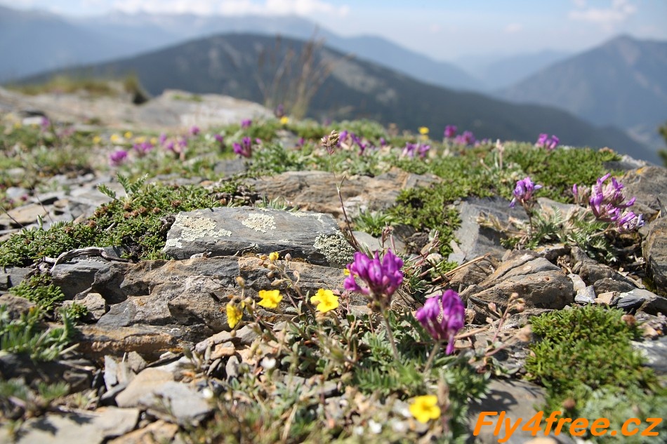 img00019.jpg