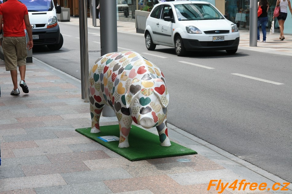 img00021.jpg