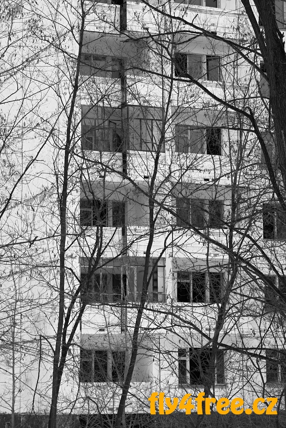 img00030.jpg