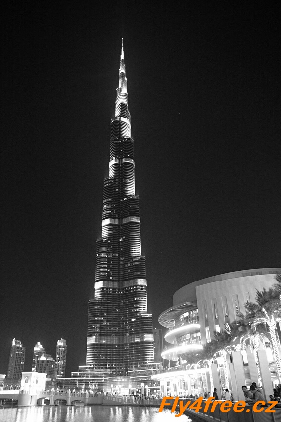 img00010.jpg