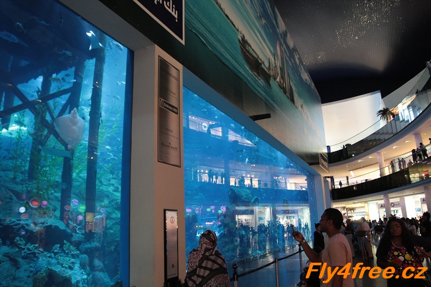 img00046.jpg