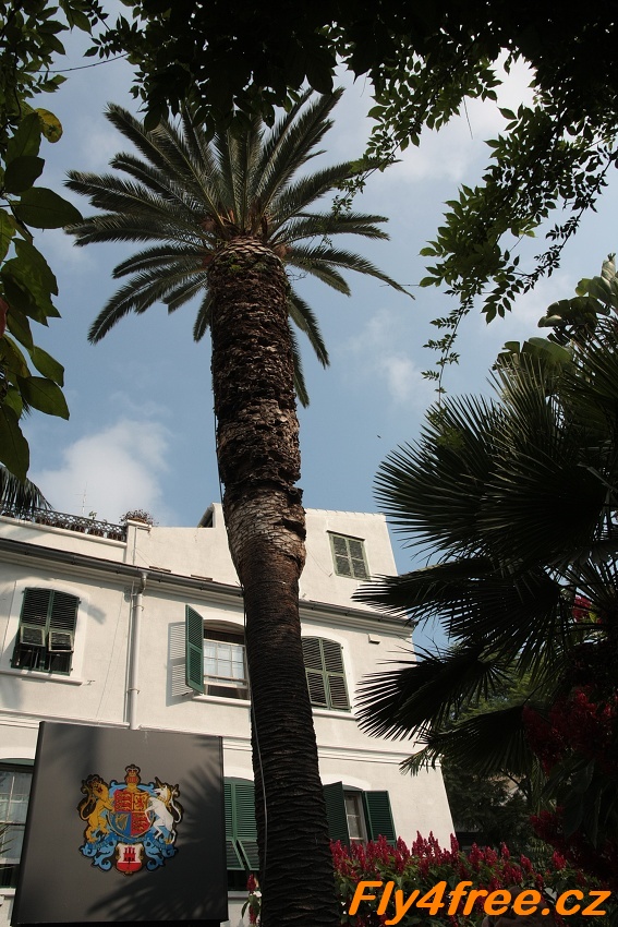 img00011.jpg
