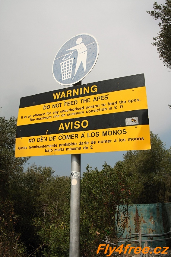 img00020.jpg