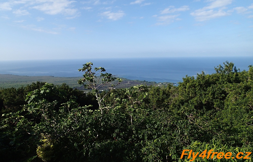 img00011.jpg