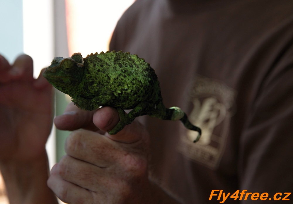 img00020.jpg