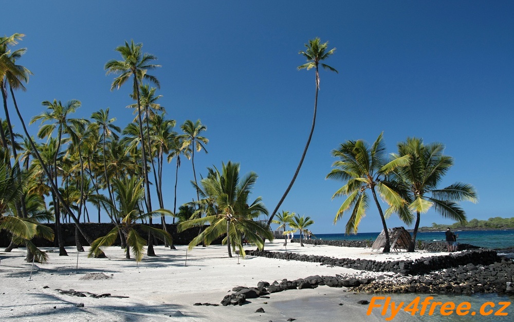 img00025.jpg