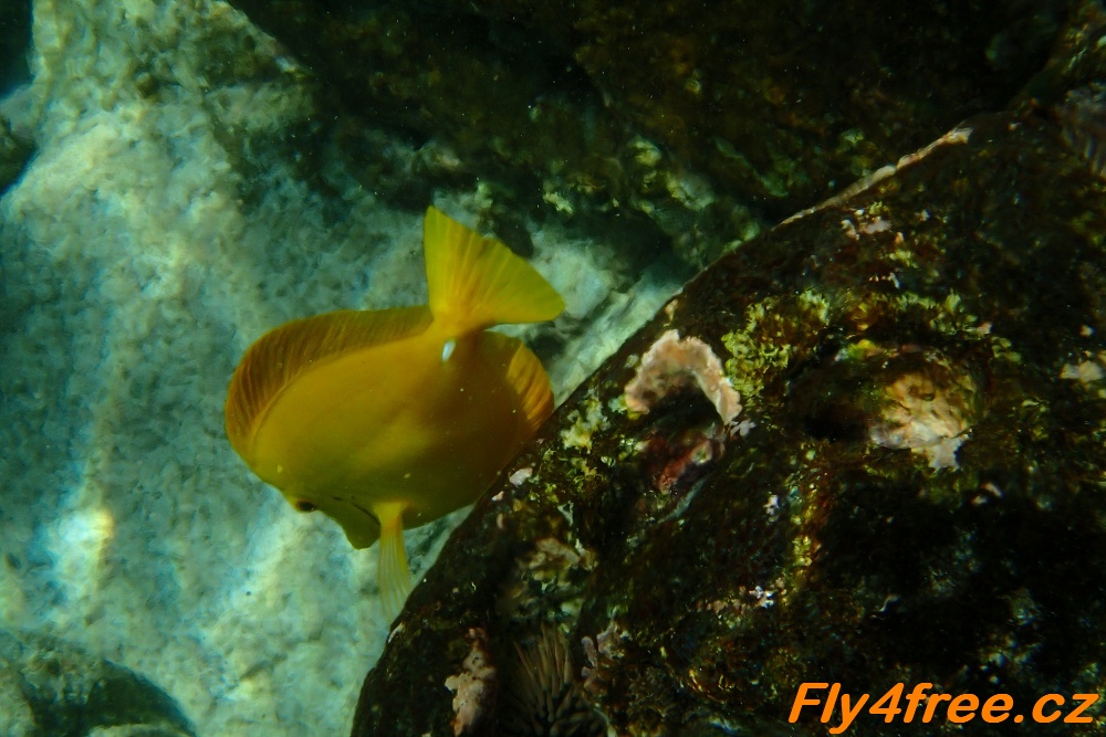 img00026.jpg