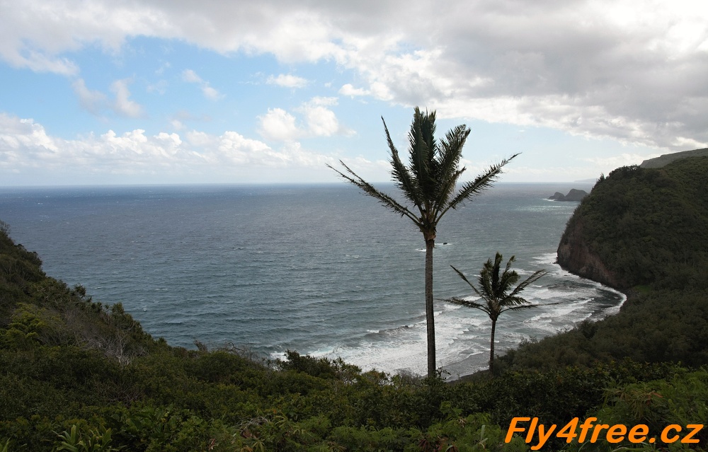 img00032.jpg