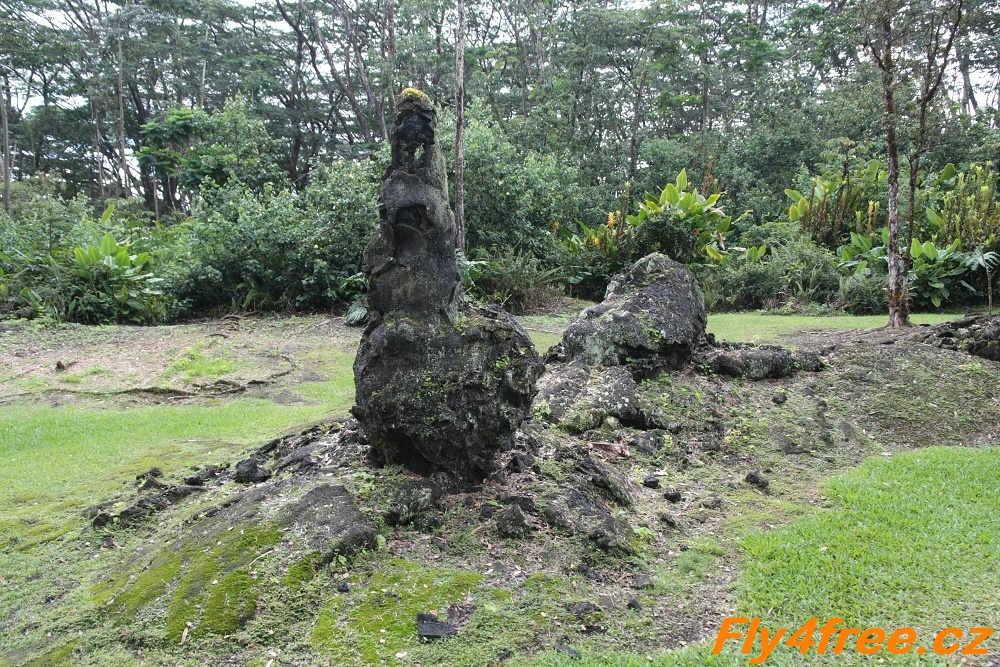 img00109.jpg