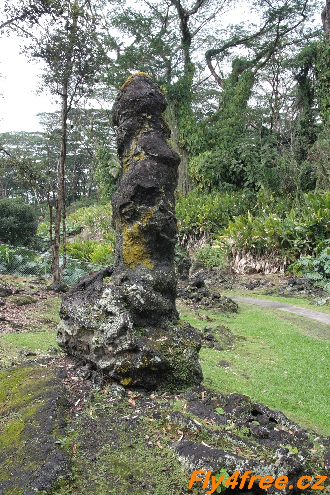 img00110.jpg