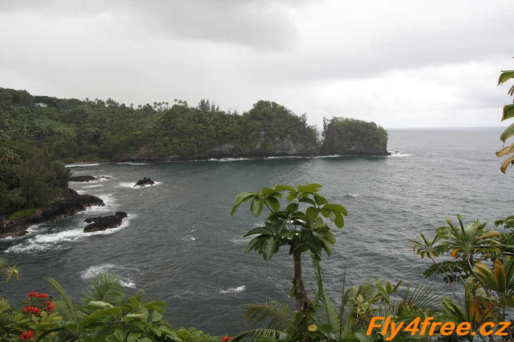 img00111.jpg