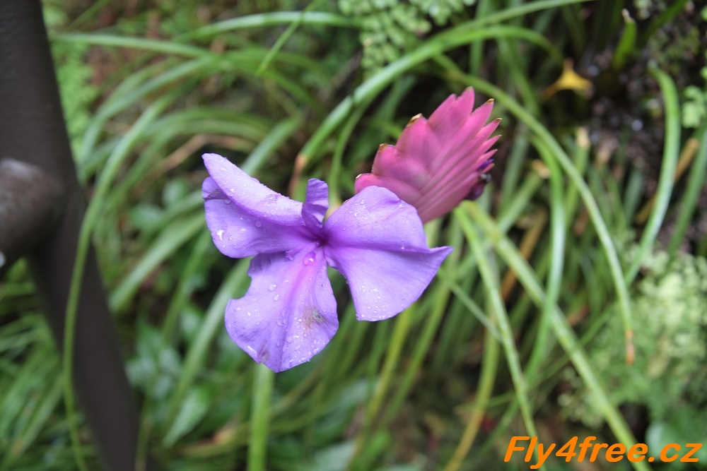 img00113.jpg