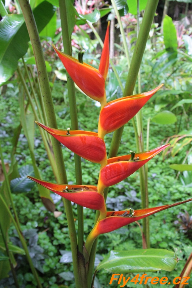 img00116.jpg