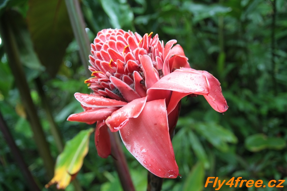 img00117.jpg