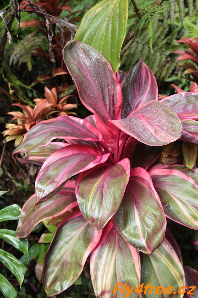 img00118.jpg