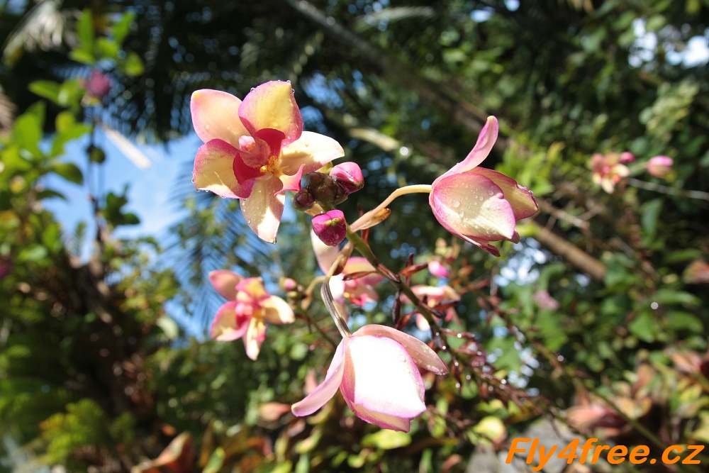 img00119.jpg
