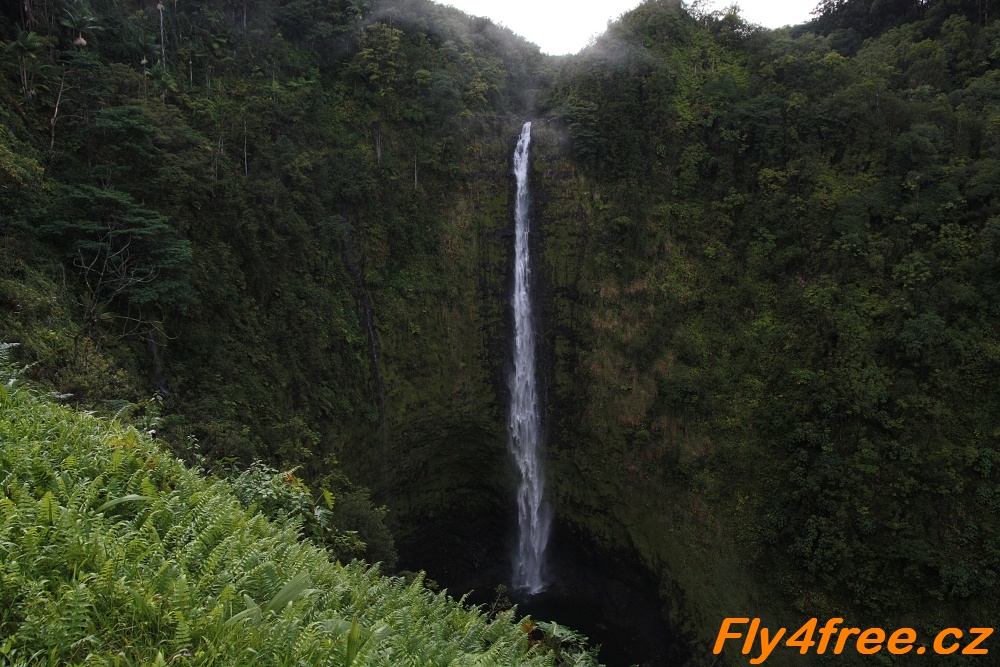 img00122.jpg
