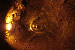 thn00095.jpg
