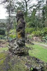 thn00110.jpg