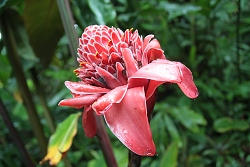 thn00117.jpg