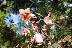 thn00119.jpg