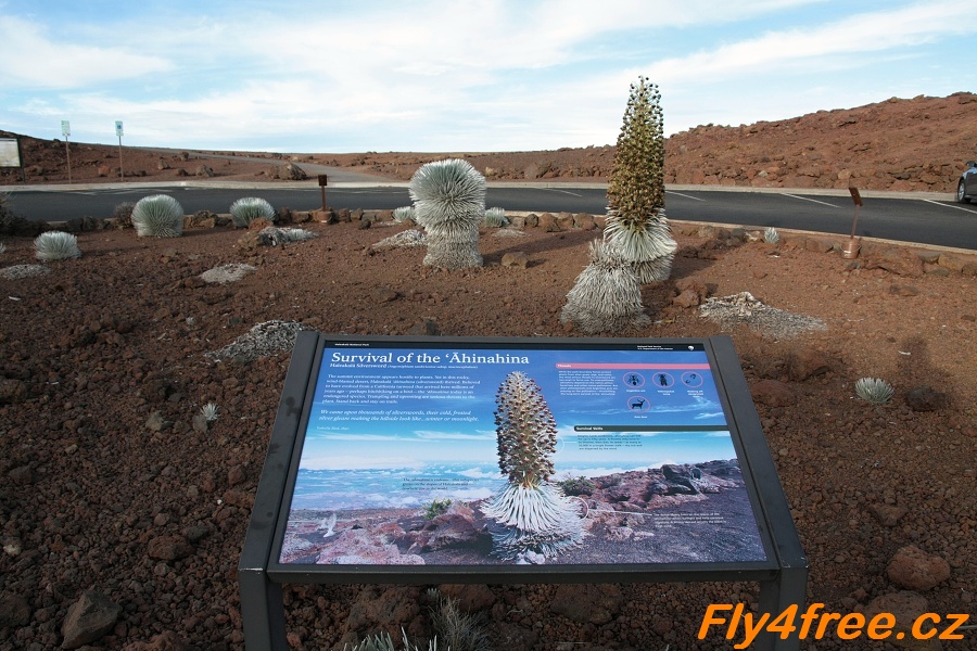 img00021.jpg