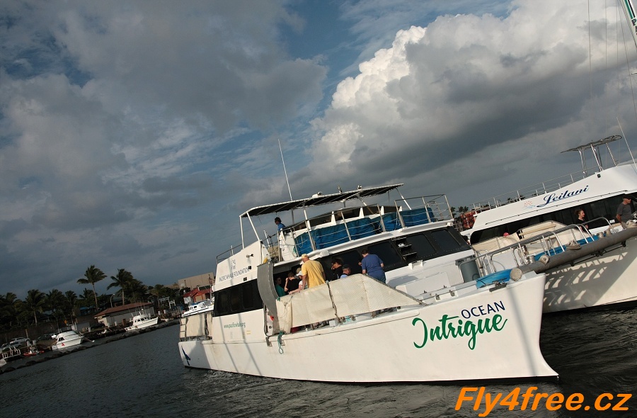 img00028.jpg