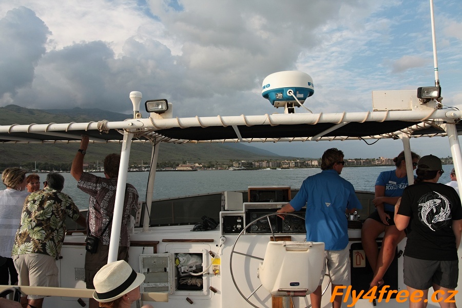 img00029.jpg