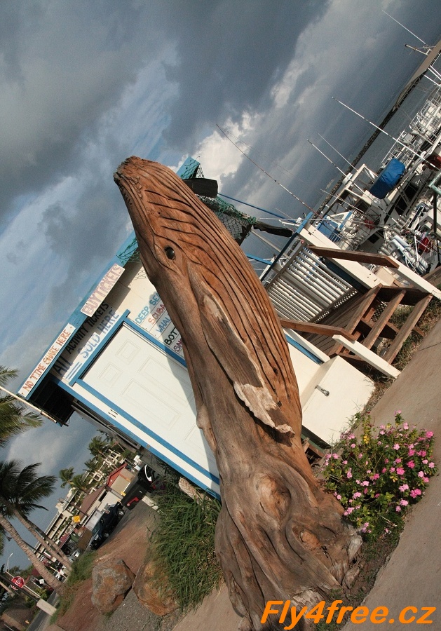 img00033.jpg