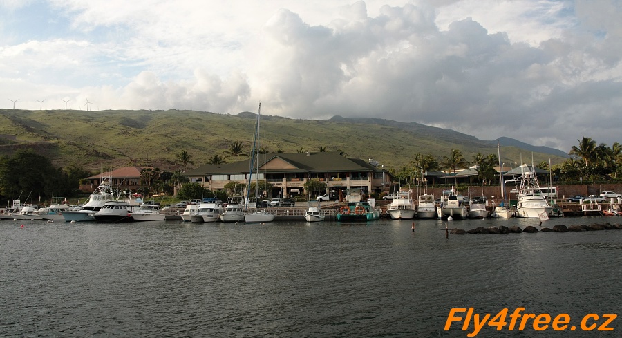img00034.jpg