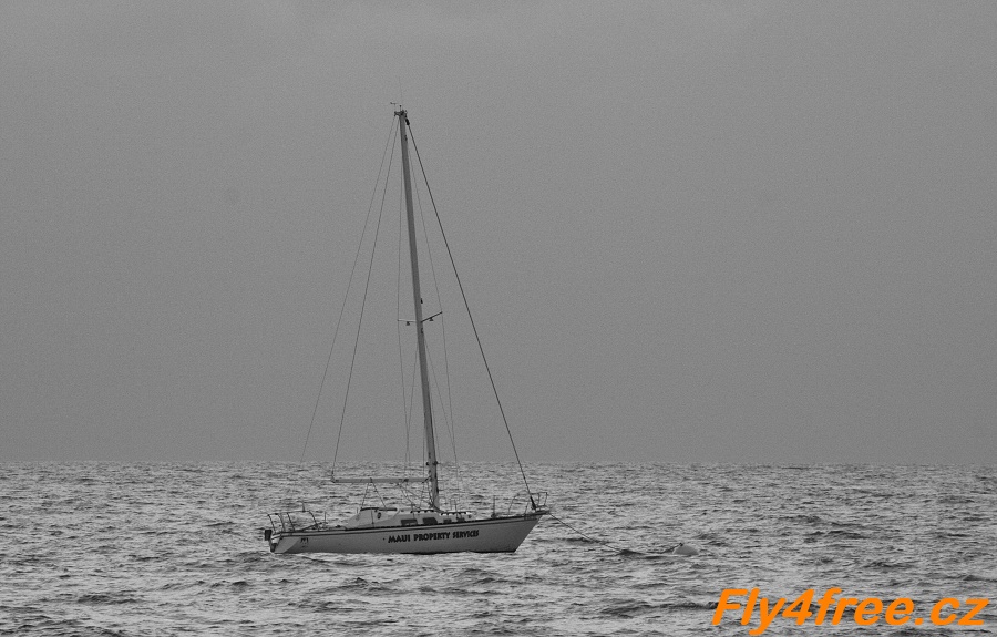 img00036.jpg