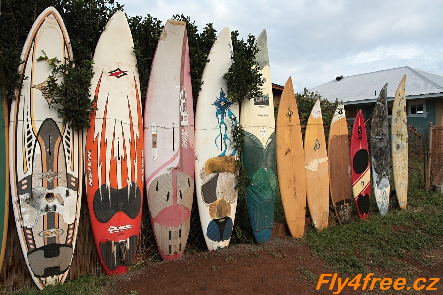 img00037.jpg
