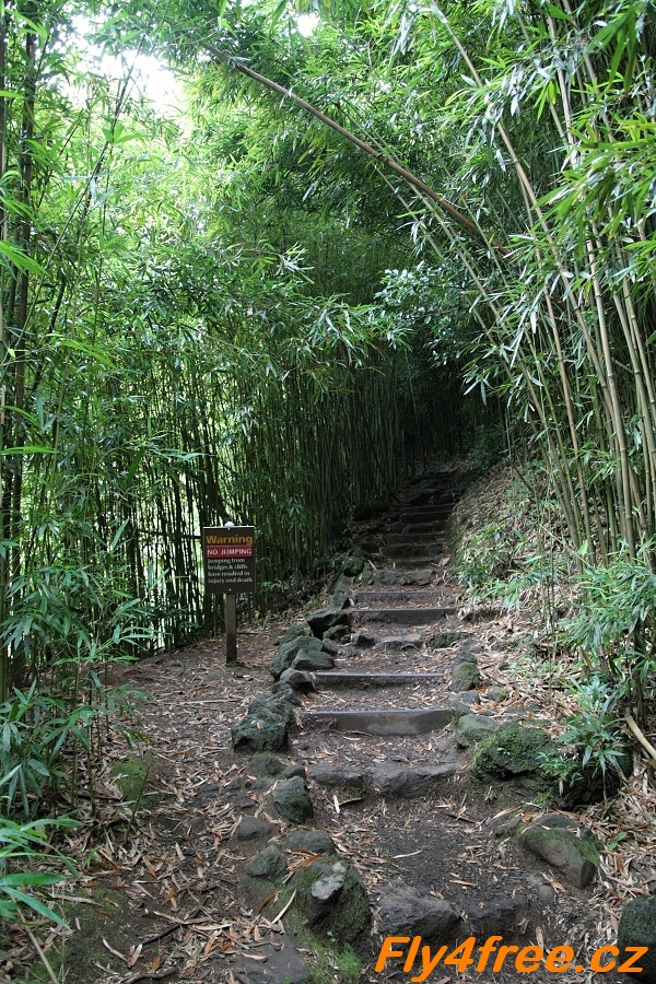 img00043.jpg