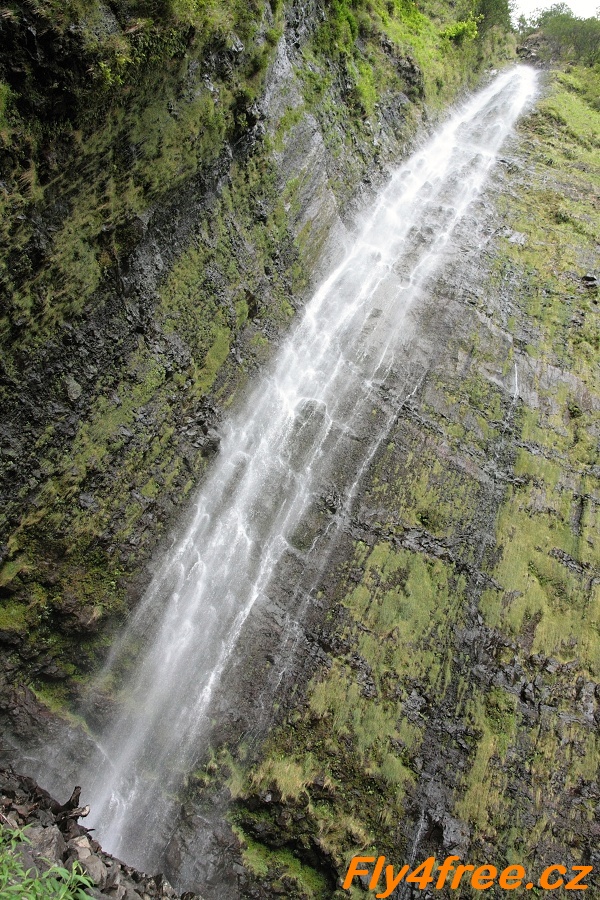 img00045.jpg