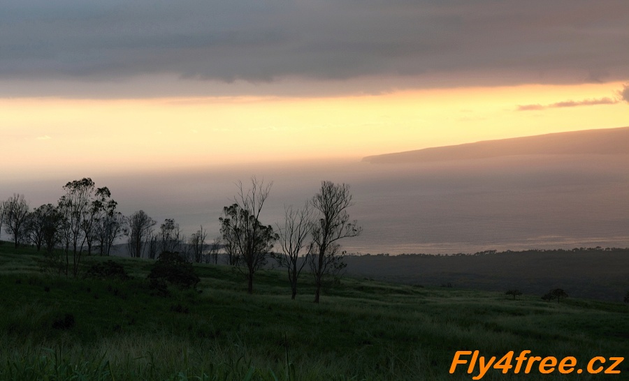 img00054.jpg