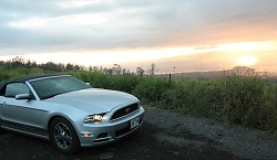 thn00053.jpg