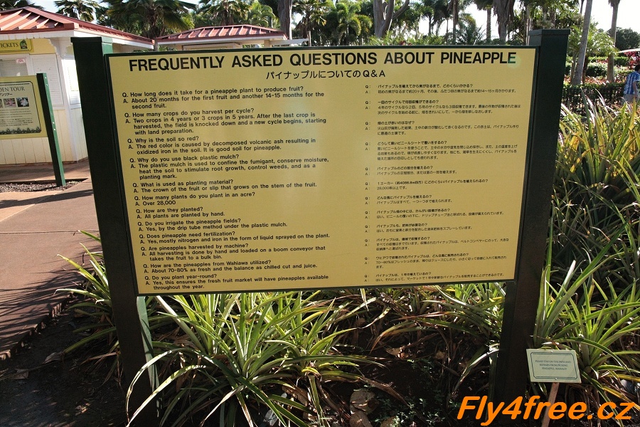 img00041.jpg