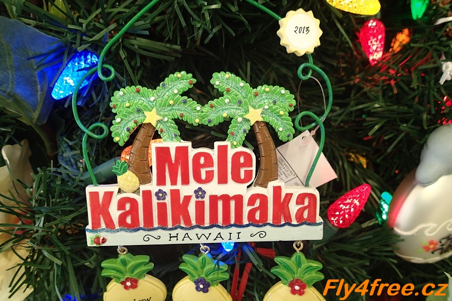 img00080.jpg