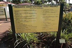 thn00041.jpg
