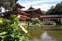thn00052.jpg