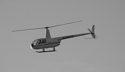 thn00068.jpg