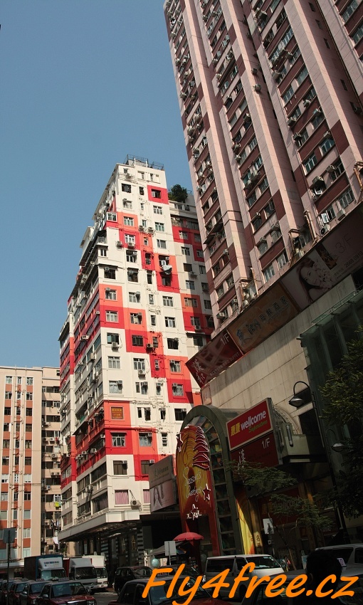 img00007.jpg