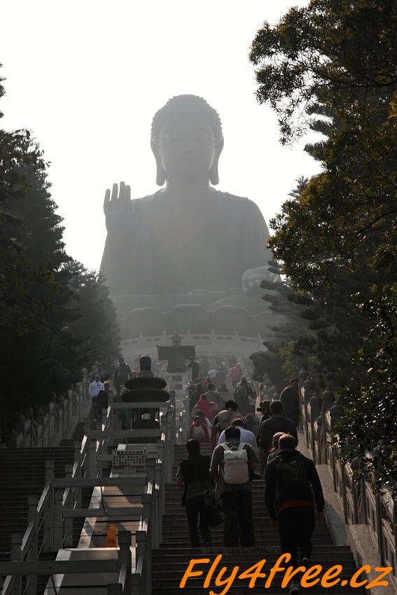 img00059.jpg
