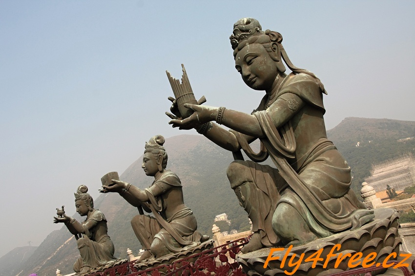 img00061.jpg