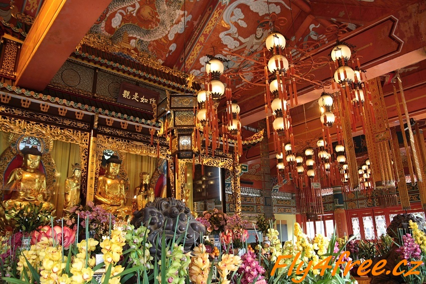 img00068.jpg