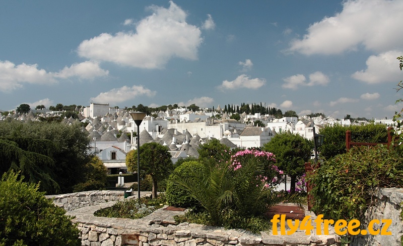 img00010.jpg