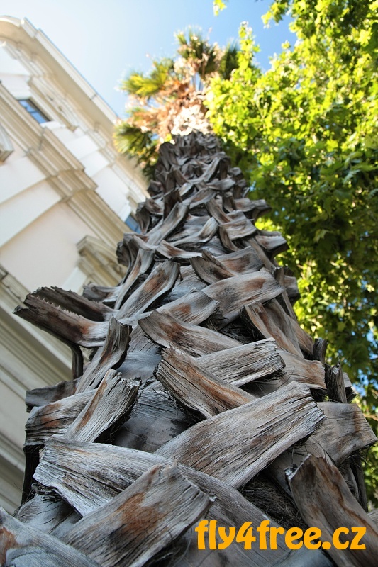 img00017.jpg
