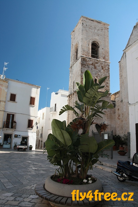 img00037.jpg