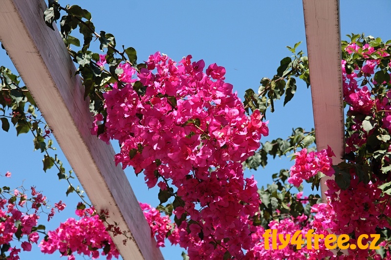 img00043.jpg