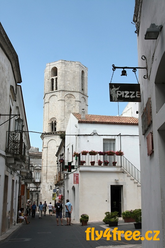 img00044.jpg